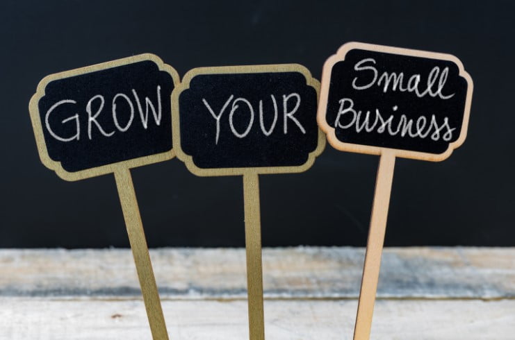growing-your-small-businesses