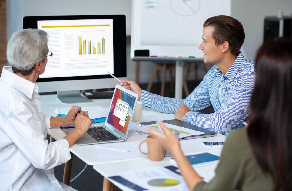 BI-Consultant